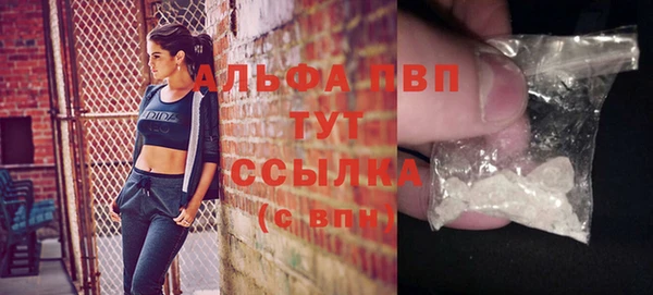 гашик Беломорск