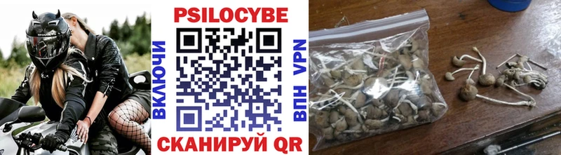 Купить  Черкесск  Псилоцибиновые грибы ЛСД 